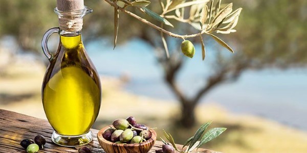 تصویر 2 از خرید و قیمت روغن زیتون ارگانیک + فروش صادراتی